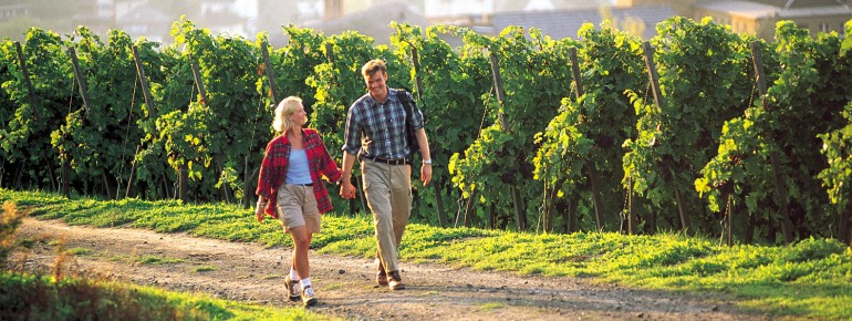 Die herrliche Natur zu Fuß erkunden.