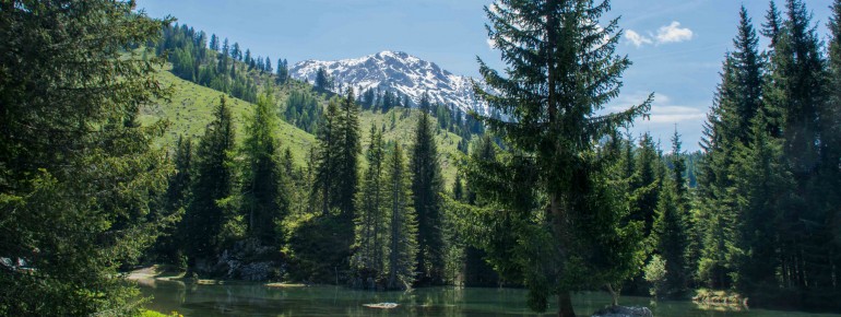 Zahlreiche Wege führen durch die idyllische Landschaft.