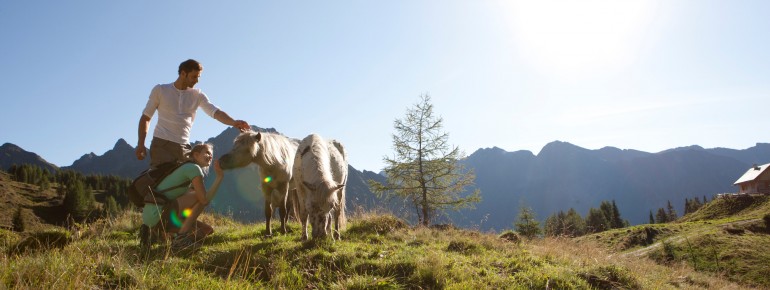 Natur hautnah erleben