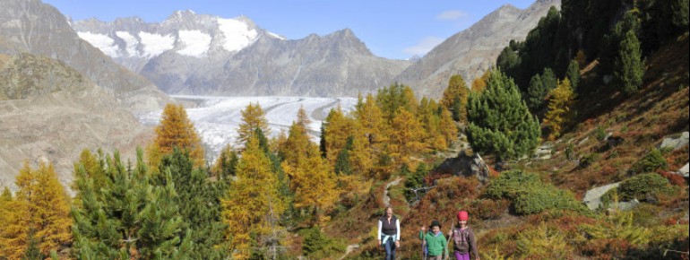 Wandern am Aletschgletscher