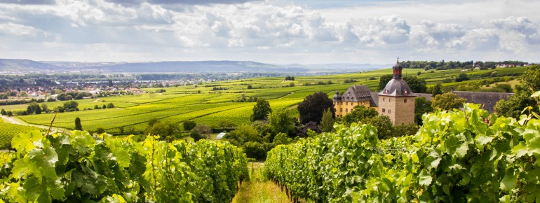 Idyllic landscapes: the wine region of Rheingau.