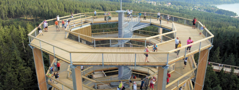 Vom Baumwipfelpfad Lipno genießt du einen einmaligen Ausblick auf den Nationalpark Böhmerwald.