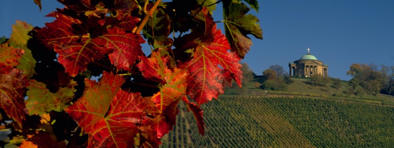 Baden-Württemberg ist bekannt für seine Weine.