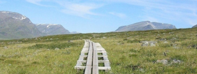 Wegabschnitt des bekannten Kungsleden-Wanderwegs im nordschwedischen Lappland